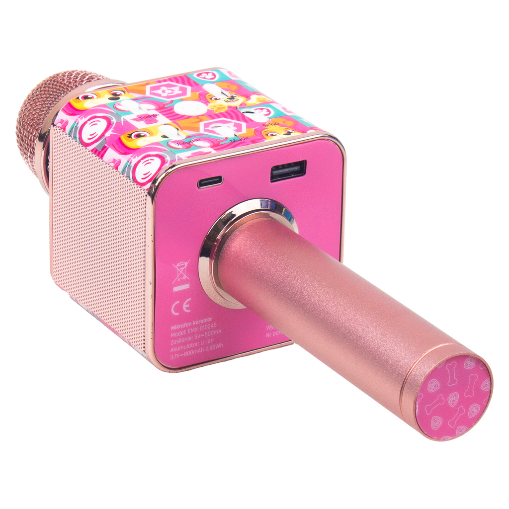 Back of the pink Paw Patrol microphone showing its USB-C and USB ports